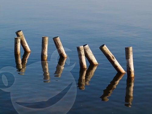 Pfosten im Wasser