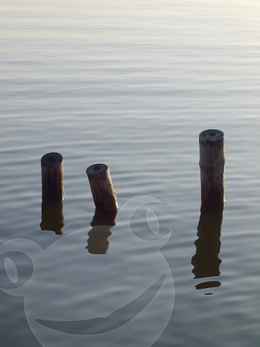 Pfosten im Wasser