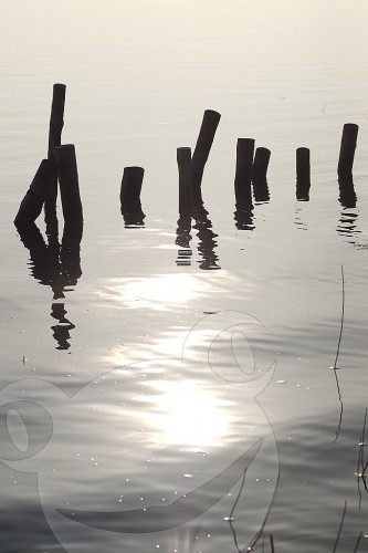 Pfosten im Wasser