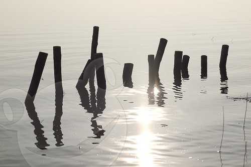Pfosten im Wasser