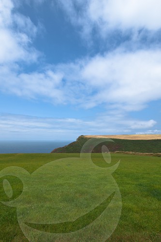 Vicarage Cliff