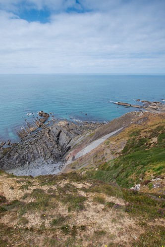 Vicarage Cliff