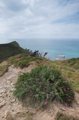 Vicarage Cliff