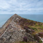 Sharpnose Point