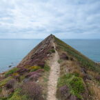 Sharpnose Point