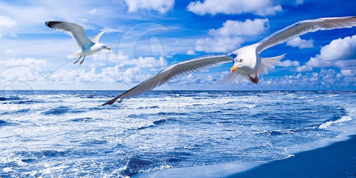 Nordsee Blau