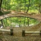 Teichgrundquelle in der Dresdner Heide