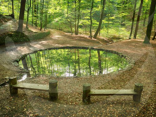 Teichgrundquelle in der Dresdner Heide
