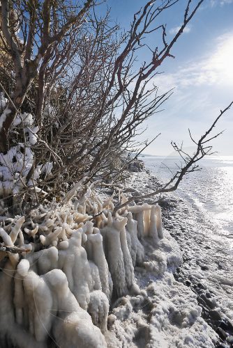 Steilküste Ahrenshoop im Winter