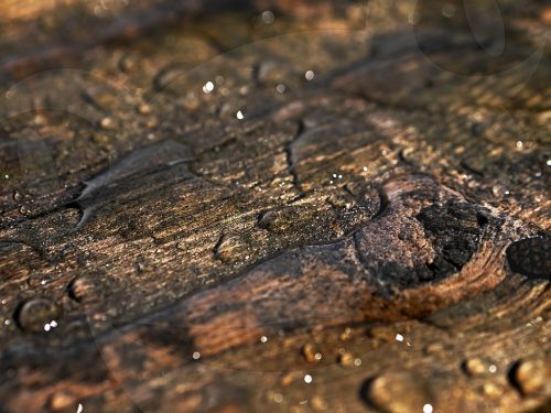 Regen und Regenwasser auf Planken