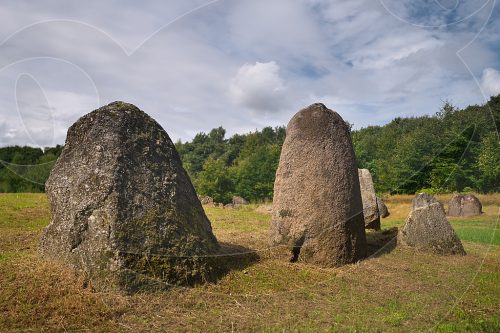 Lindeskov Hestehave